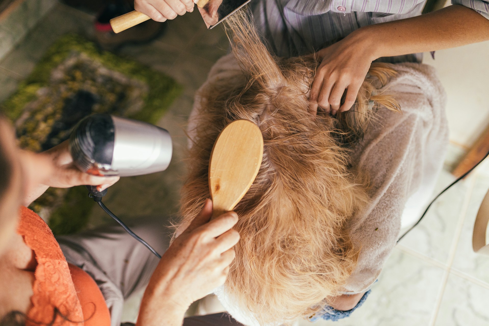 How To Groom A Senior Dog With Care