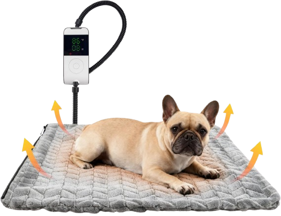Plug in this heated dog pad after work; within 5 minutes your small dog melts into an 86–104 °F velvet nest, turning any couch corner into a mini dog fireplace.