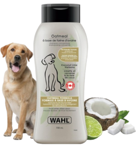 Wahl Canada Oatmeal Dog Shampoo, made with plant-derived ingredients in a refreshing blend of coconut, lime, and verbena, helps soothe dry, itchy skin. This paraben-free formula comes in a 700ml bottle.