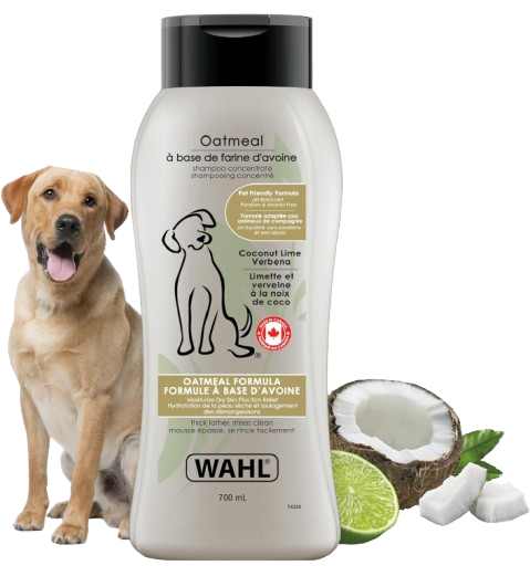 Wahl Canada Oatmeal Dog Shampoo, made with plant-derived ingredients in a refreshing blend of coconut, lime, and verbena, helps soothe dry, itchy skin. This paraben-free formula comes in a 700ml bottle.